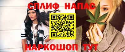 дмт Обь