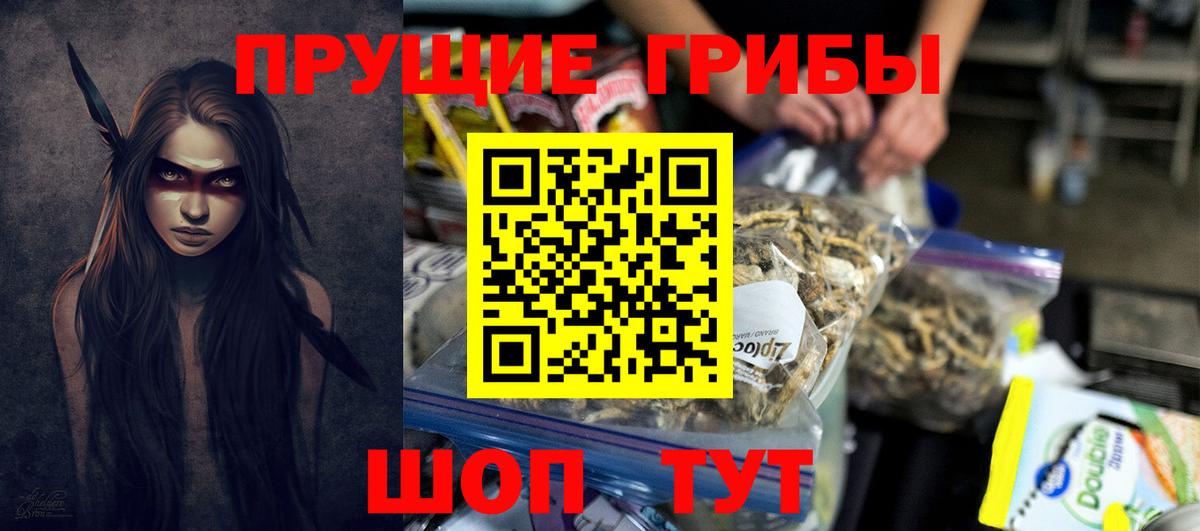 Псилоцибиновые грибы мицелий  Вход с VPN  где купить наркоту  Галлюциногенные грибы GOLDEN TEACHER  Северск 